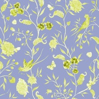 KUCHKA RAHASYA - 2 ταπετσαρία