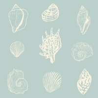 Seashell Serenade pastel blue carta da parati