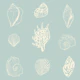 Seashell Serenade pastel blue