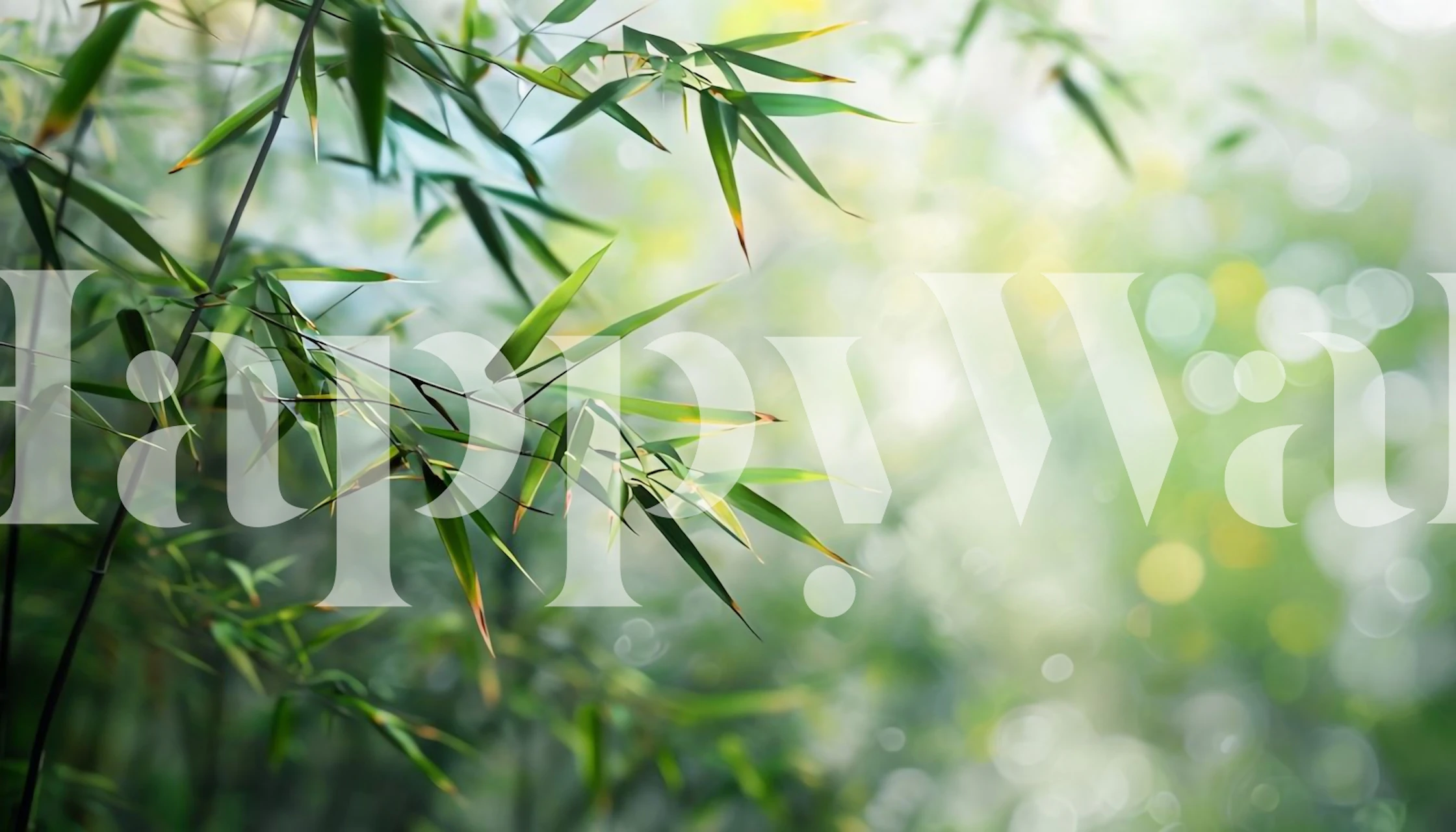 Lush Bamboo Grove tapeta u ambijentu sobe