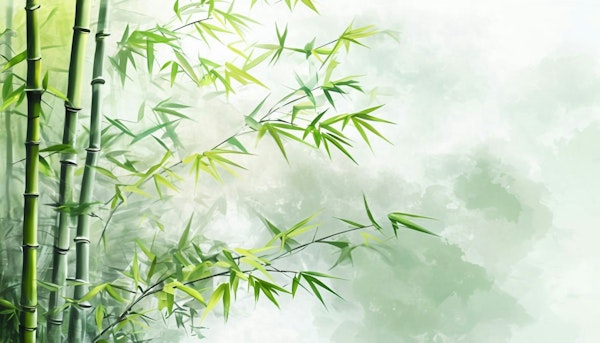 Green Bamboo Serenity