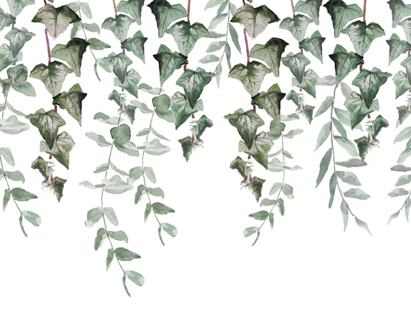 Ivy and Eucalyptus Leaves Green Frame