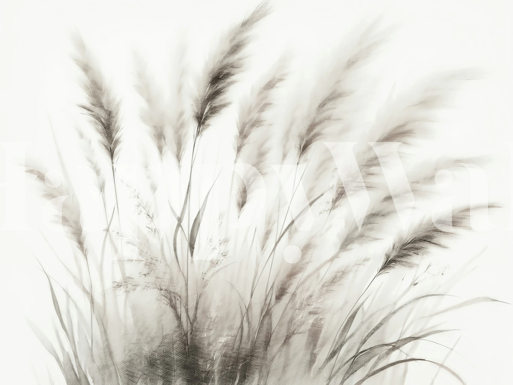 Ethereal Pampas Grass wallpaper in a room