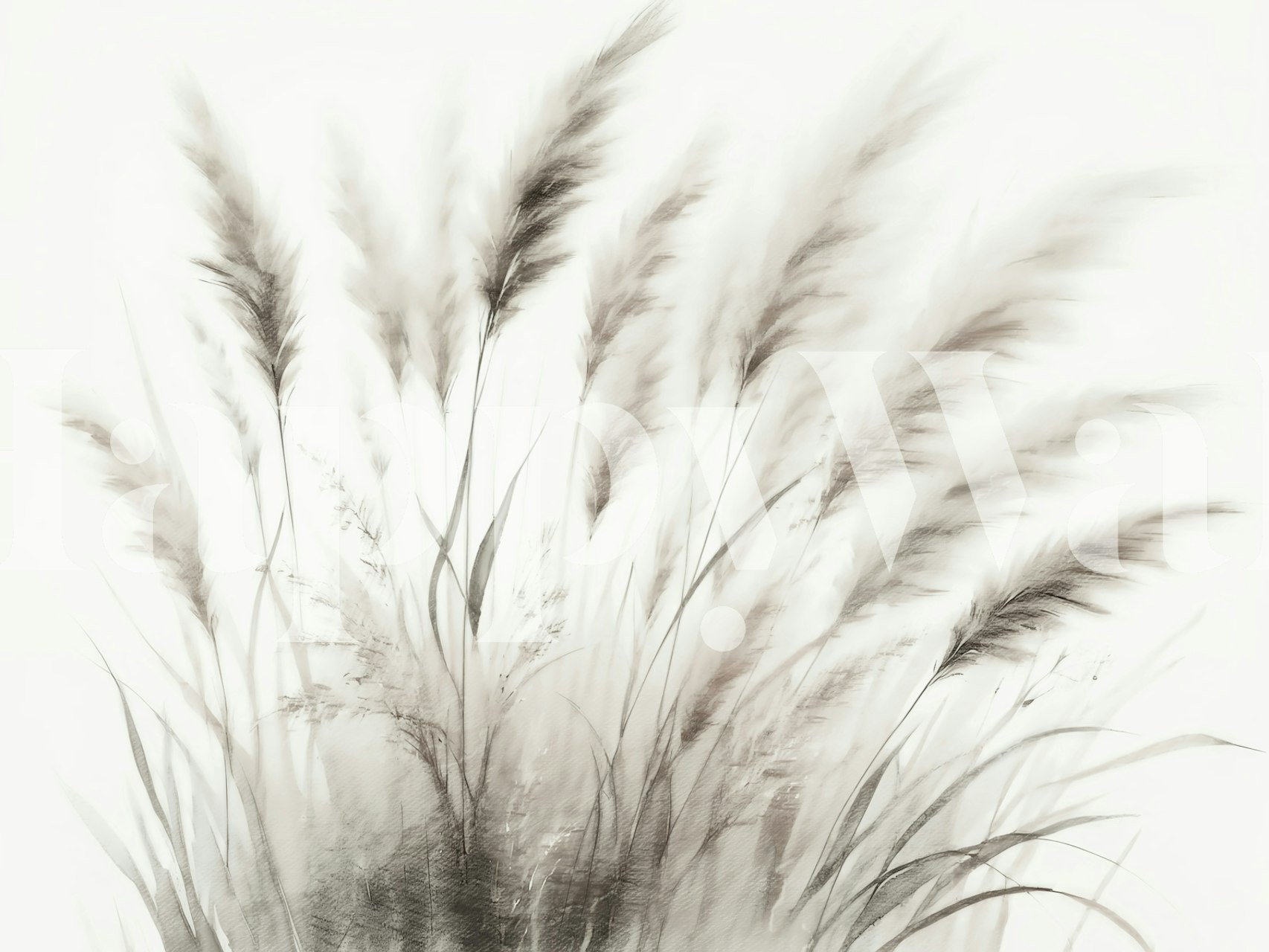 Ethereal Pampas Grass wallpaper in a room