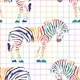 Rainbow zebra 1
