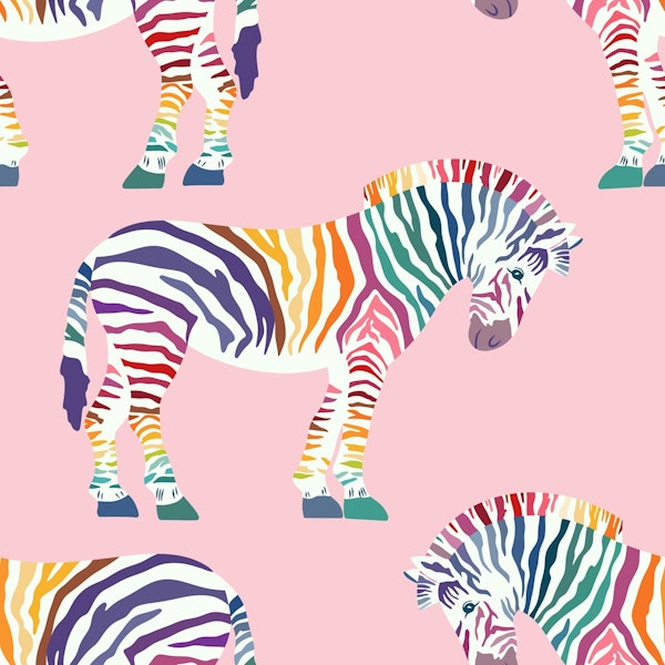 Rainbow zebra 2