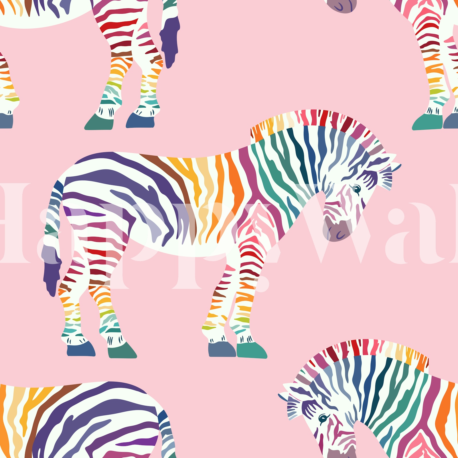 Rainbow Zebra Wallpaper for Kids Rooms