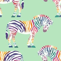 Rainbow zebra 3 wallpaper