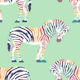 Rainbow zebra 3