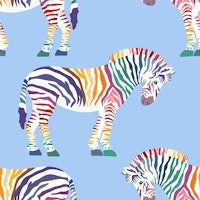 Rainbow zebra 4 wallpaper