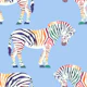 Rainbow zebra 4
