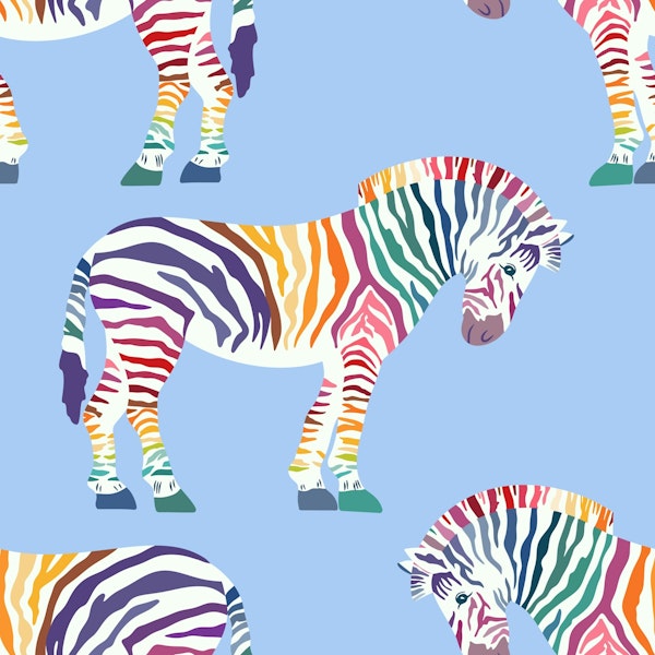 Rainbow zebra 4