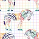 Rainbow zebra 1 smaller