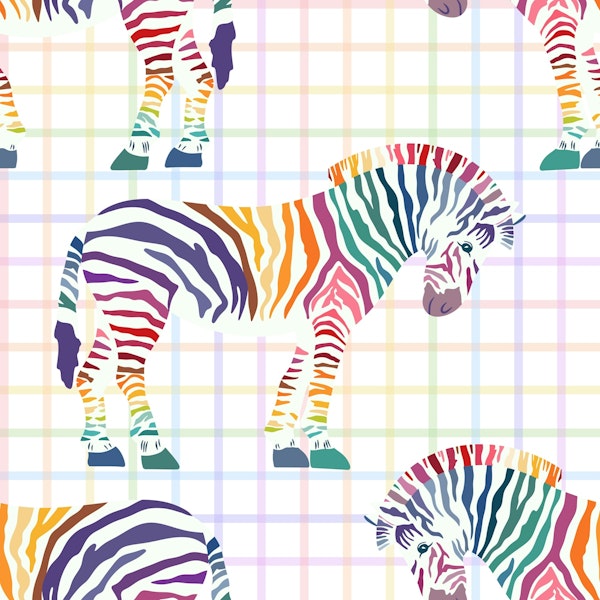 Rainbow zebra 1 smaller