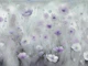 Misty Blossom Glade