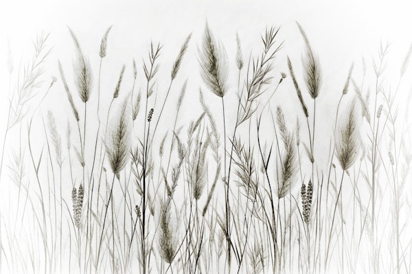 Meadow Breeze Sketch