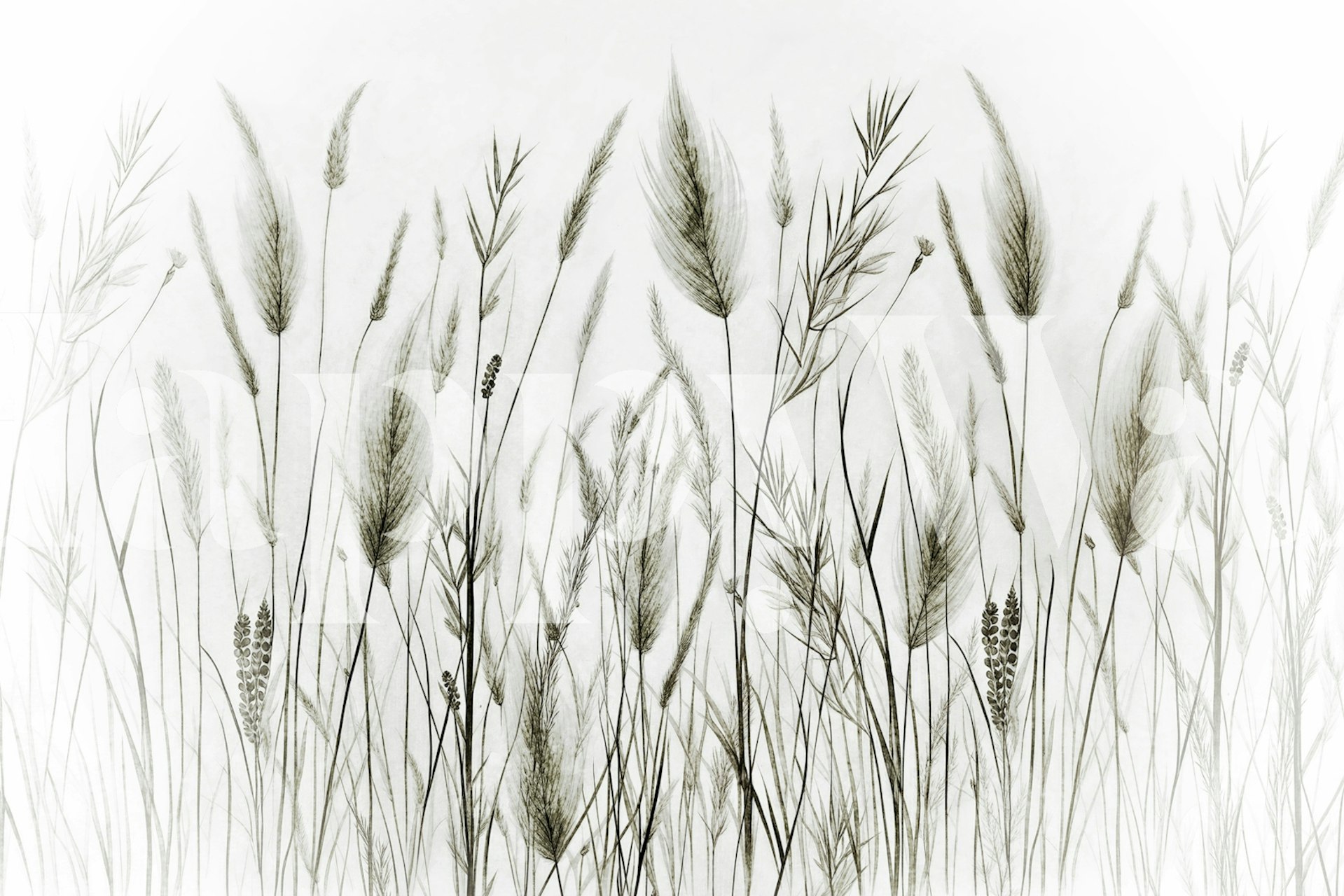 Delicate grass illustrations in muted tones wallpaper