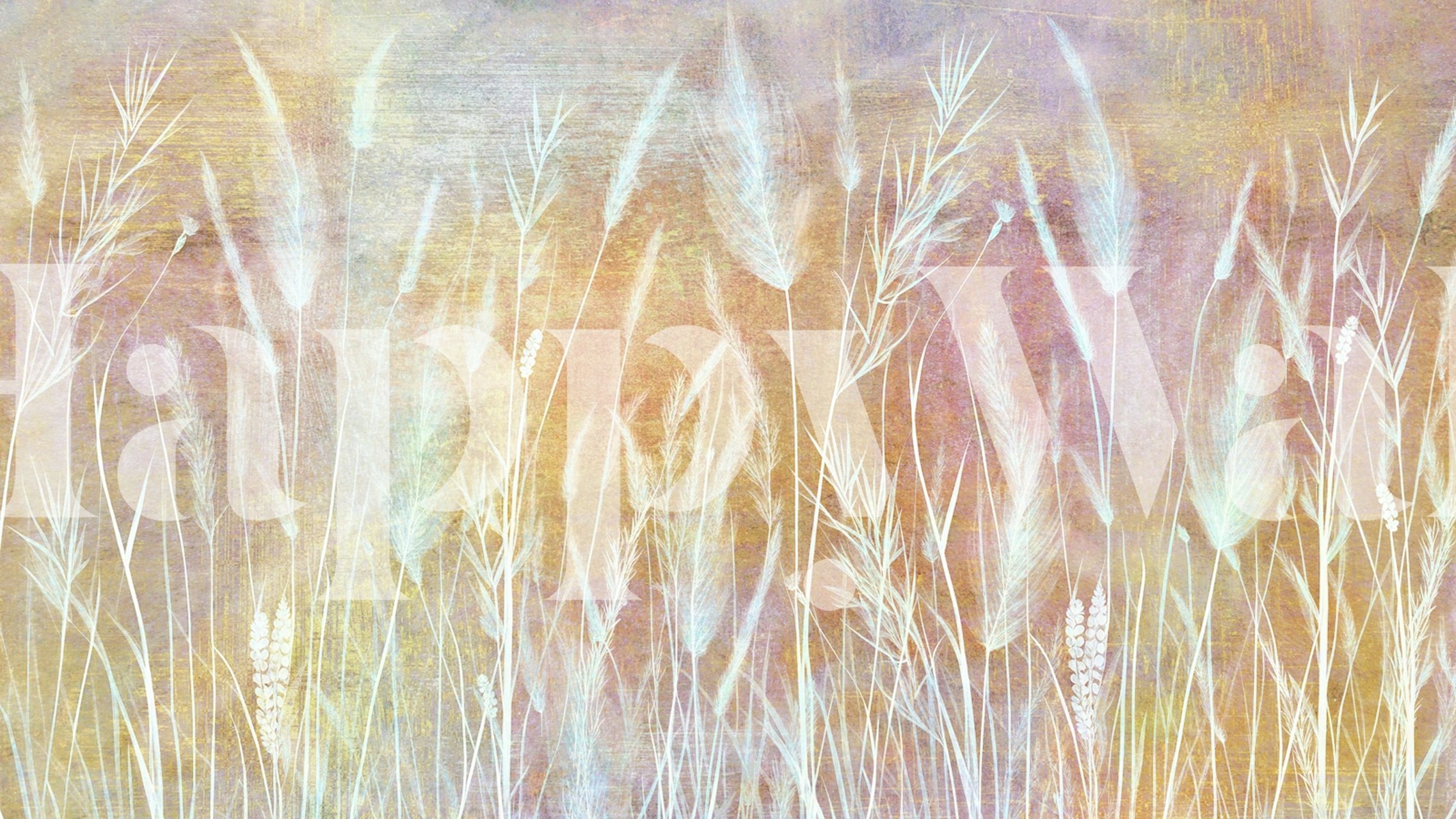 Golden Harvest Fields wallpaper in a room