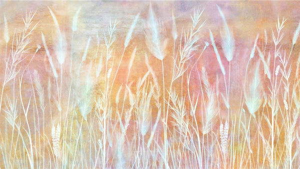 Golden Harvest Fields