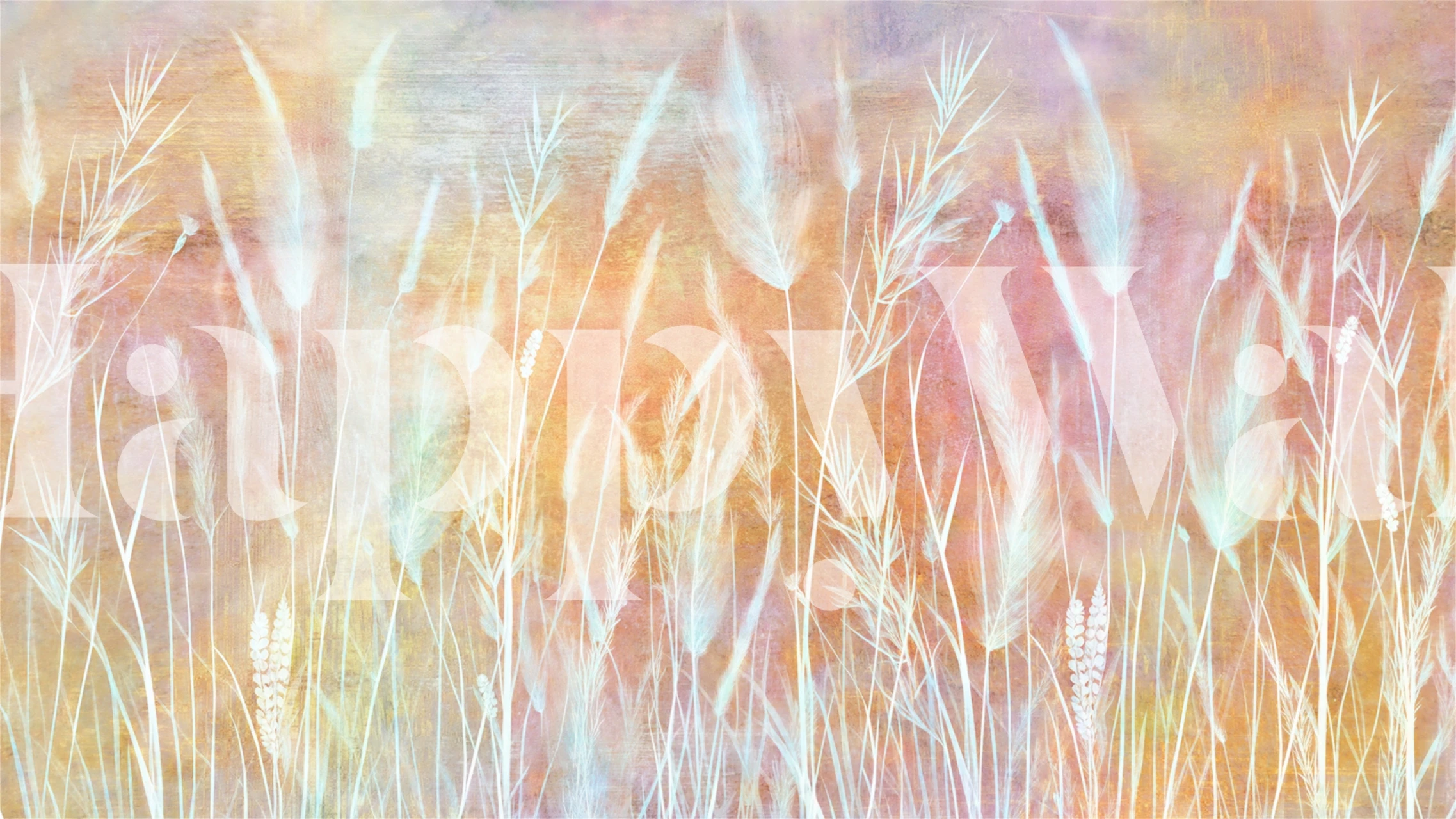 Golden Harvest Fields wallpaper in a room