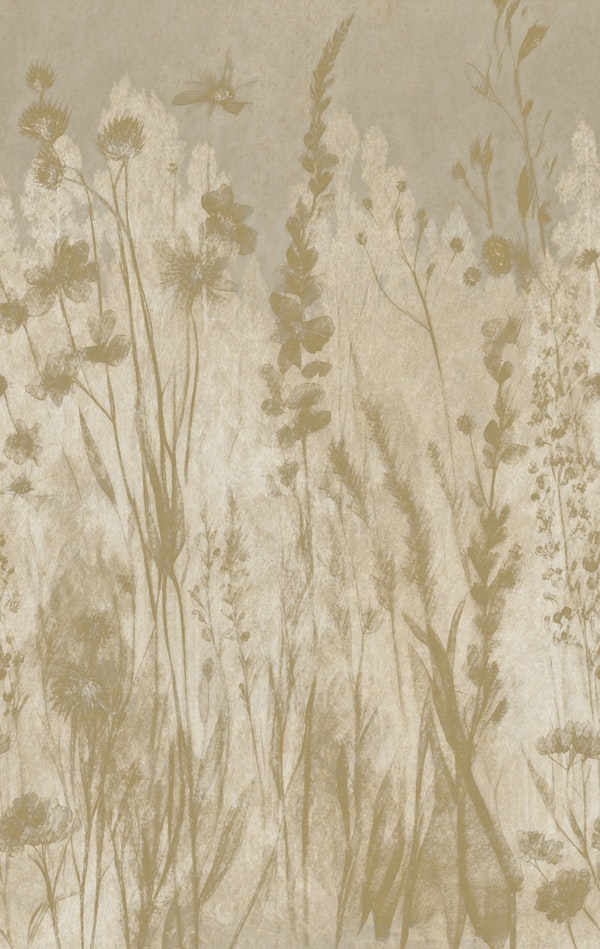 Golden Harvest Fields