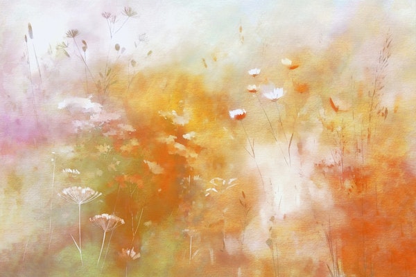 Chromatic Field Dream