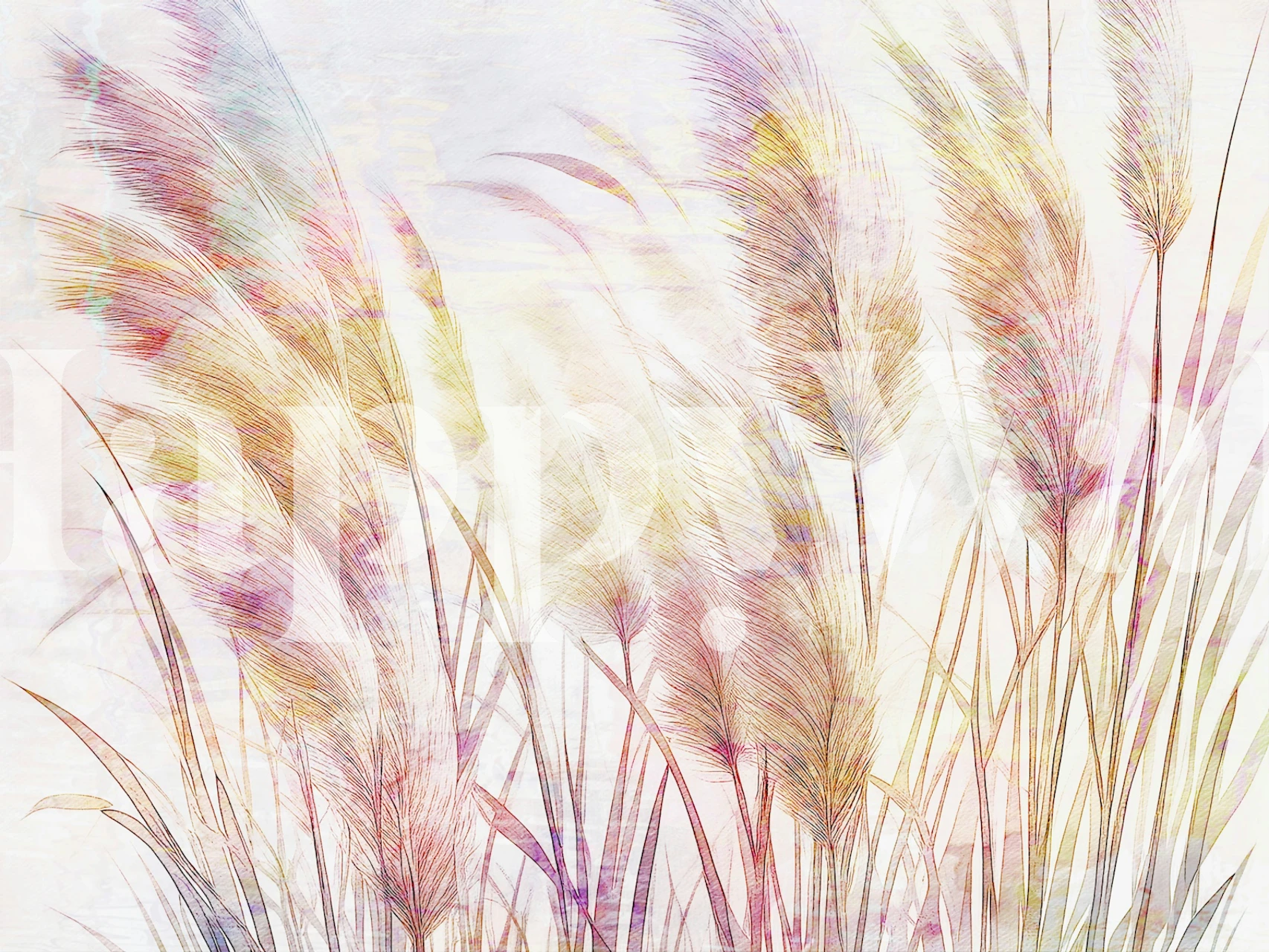 Sunset Reeds Hues wallpaper in a room