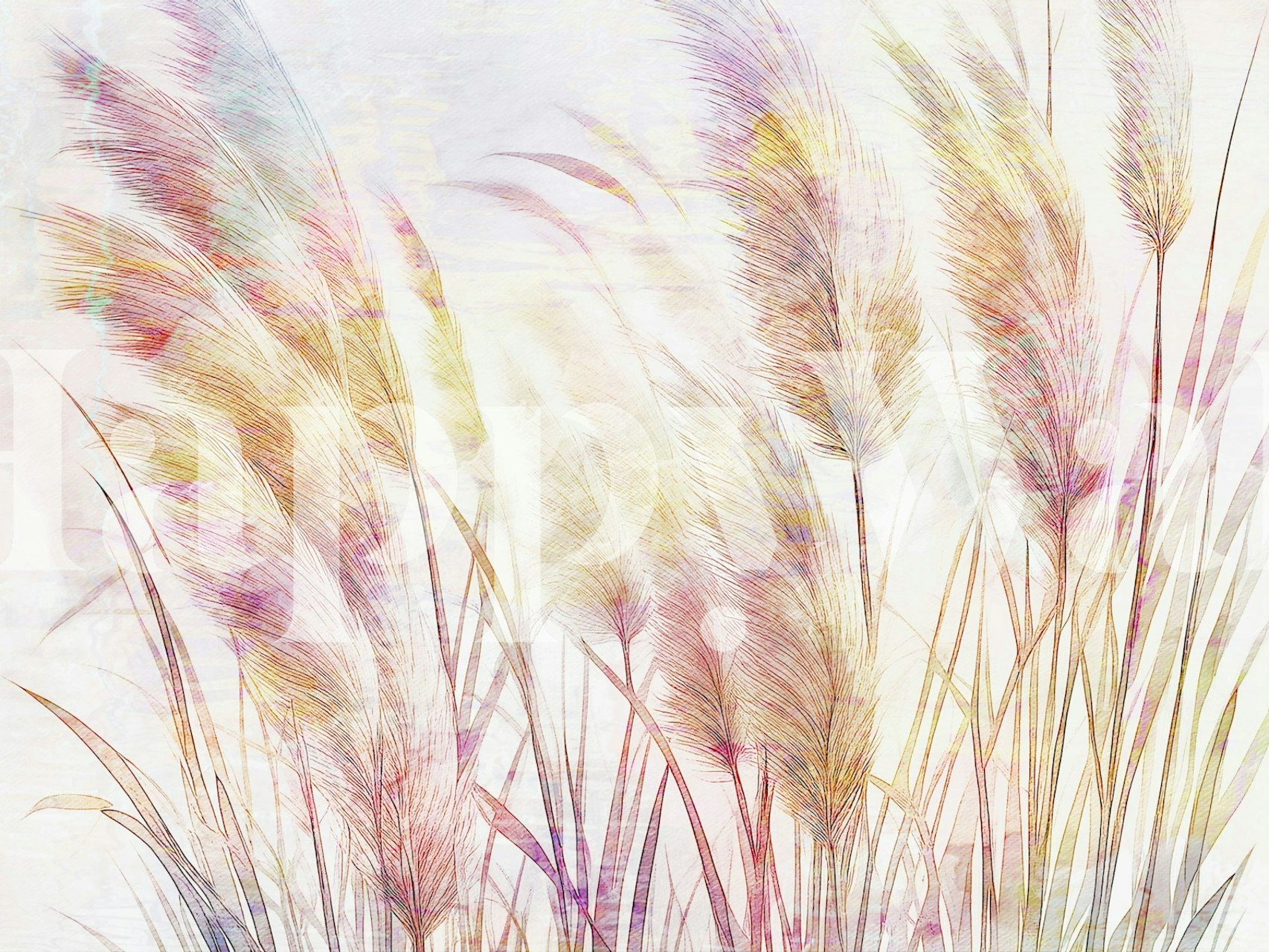 Sunset Reeds Hues wallpaper in a room