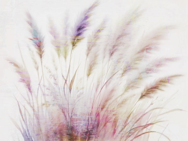 Ethereal Nature's Touch