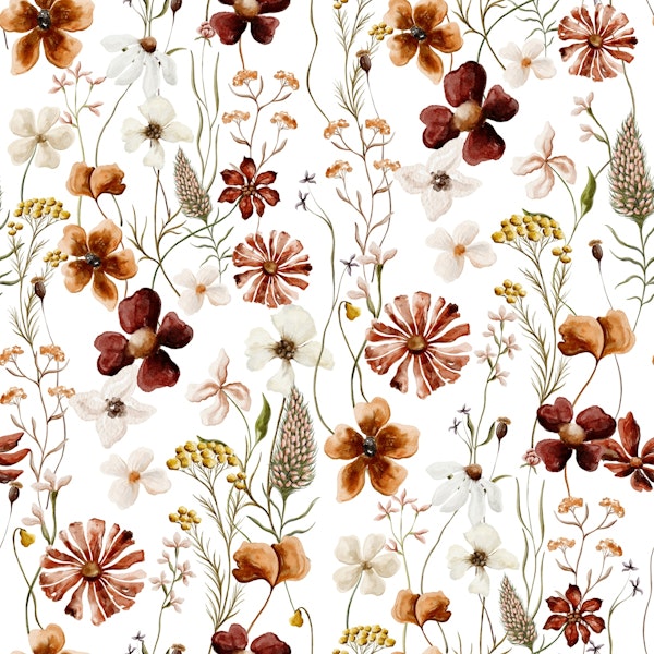 Late Summer Watercolor Flowers Meadow