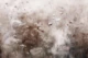 Ethereal Floral Mist