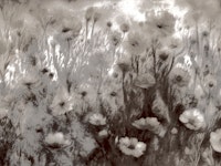 Monochrome Floral Dream ταπετσαρία