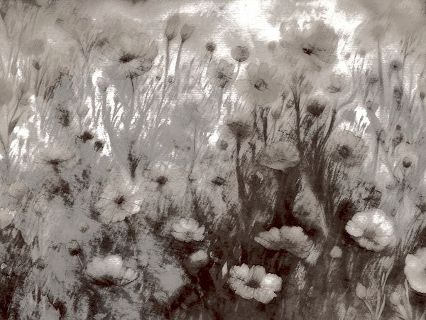 Monochrome Floral Dream