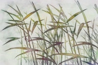 Serene Bamboo Grove tapet