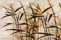 Bamboo Zen Serenity tapete