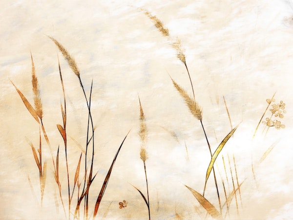 Elegant Grasses