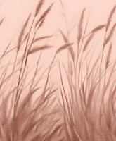 Whispering Grass wallpaper