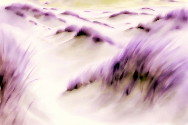 Lavender Bliss Abstract