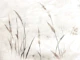 Serenity Reeds