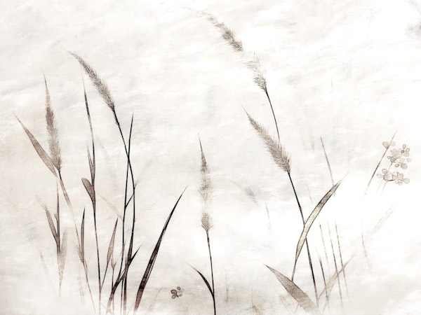 Serenity Reeds