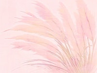 Pink Whispers carta da parati