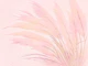 Pink Whispers