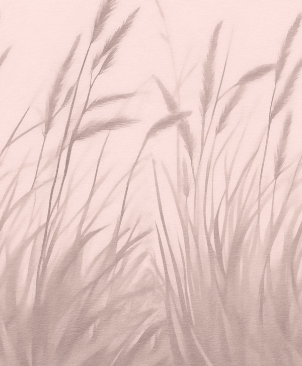 Pink Whispers