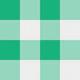 Light Green Gingham