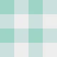 Mint Gingham