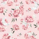Peony Stars