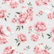 Peony Stars - grey