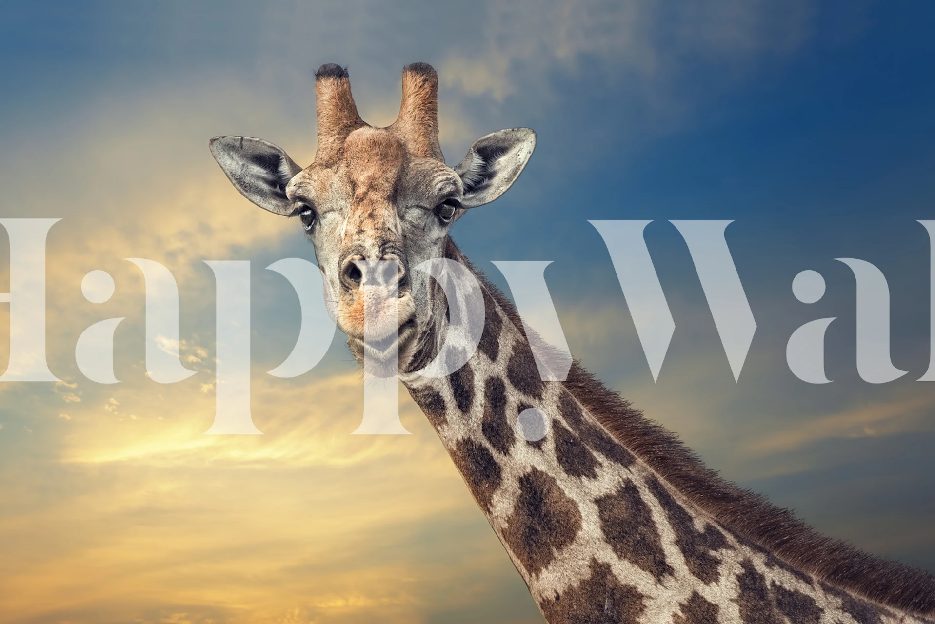 Giraff tapet i ett rum