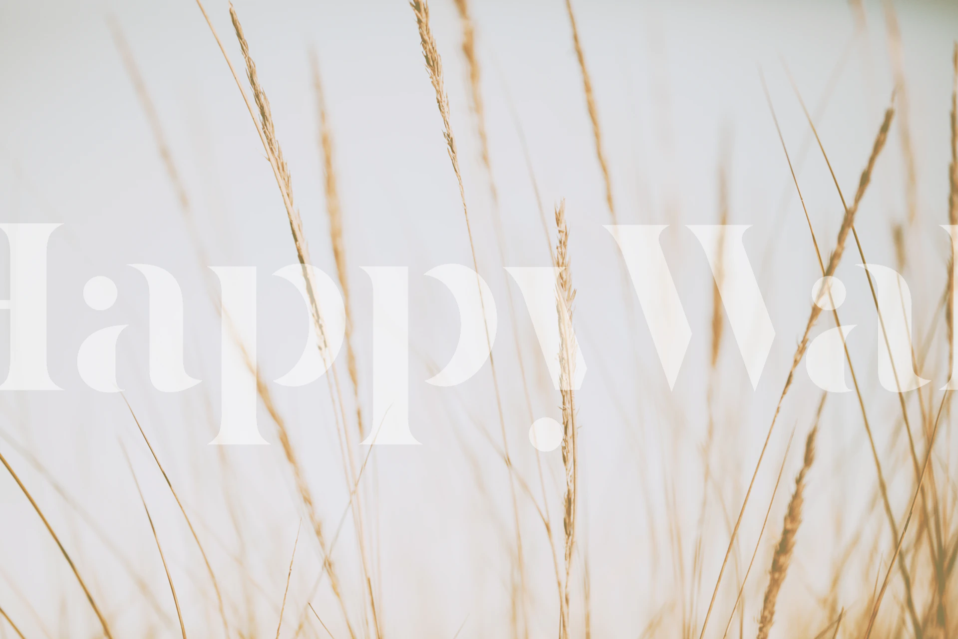 Beige grass texture wallpaper