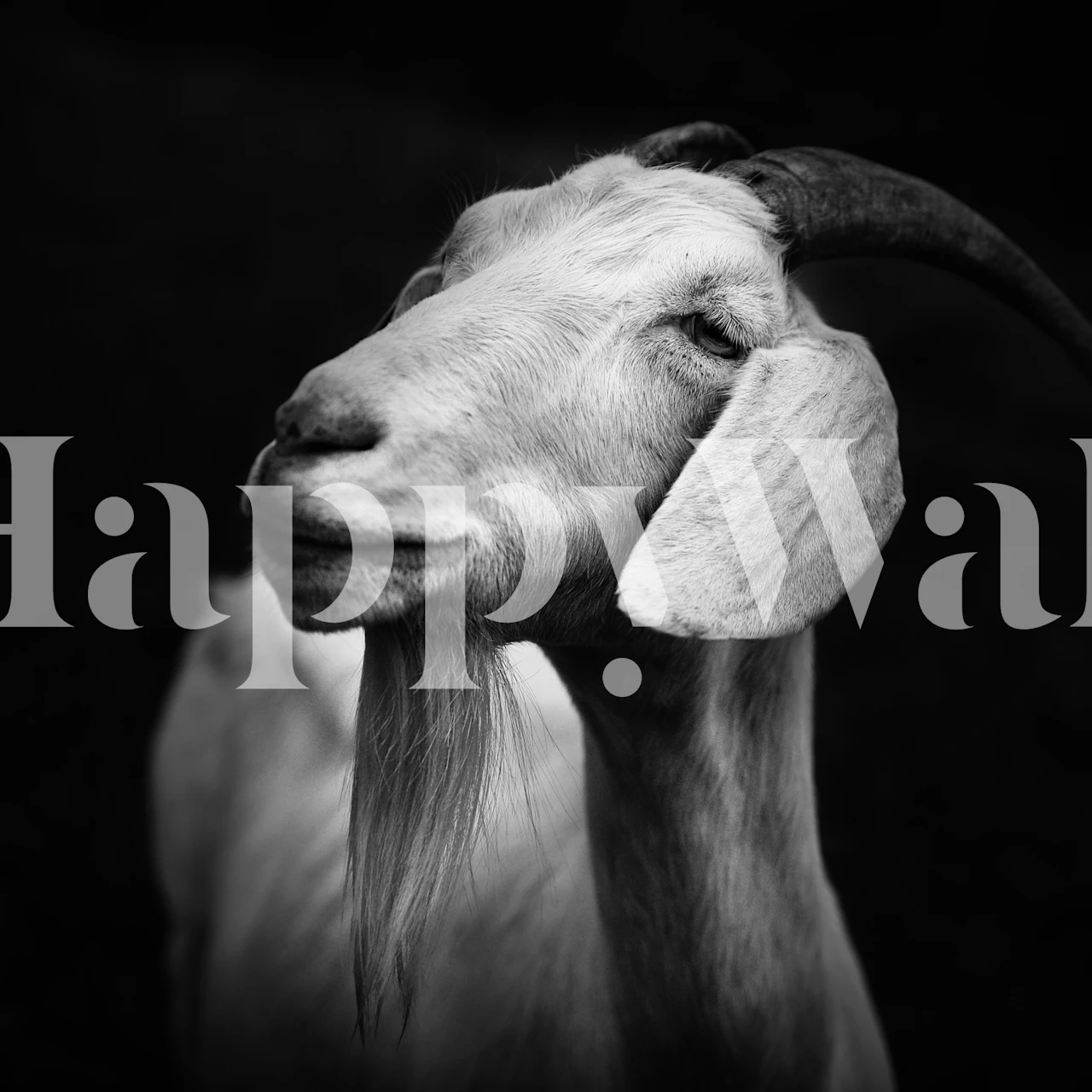 Billy goat with horns in black and white wallpaper